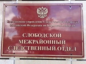 Житель города Слободского подозревается в хулиганстве